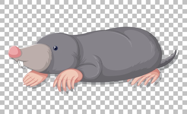 Free vector a mole cartoon on grid background