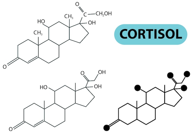 Free Vector molecular structure of cortisol