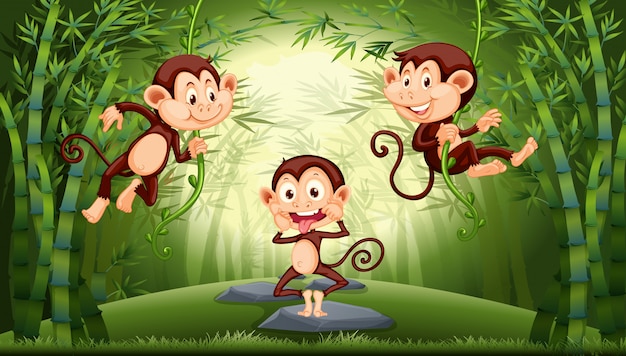 Free Vector monkey in the forest