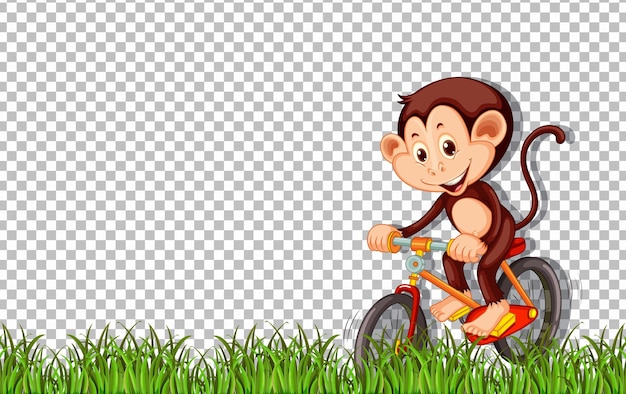 Free Vector monkey ride a bicycle on transparent background