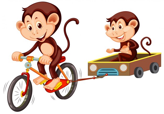 Monkey riding bicycle on white background