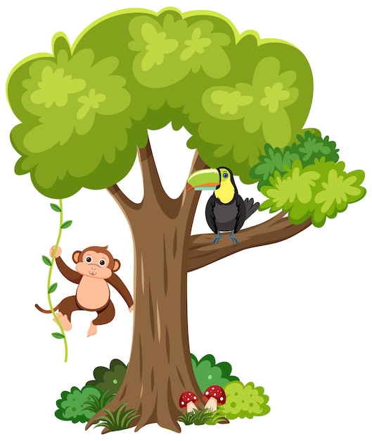 Monkey and toucan bird on a tree