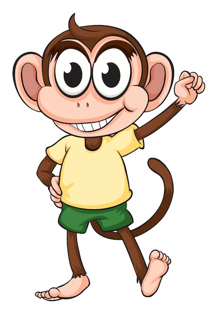 A monkey