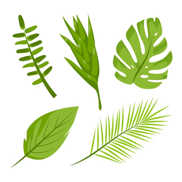 Monochromatic tropical leaves illustration set