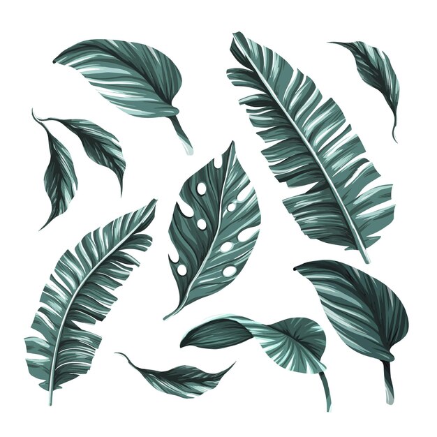 Monochromatic tropical leaves