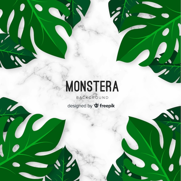 Free Vector monstera background