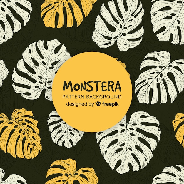 Monstera dark background