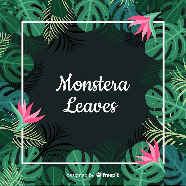 Monstera frame background