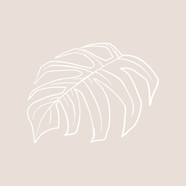 Free Vector monstera leaf vector doodle botanical illustration