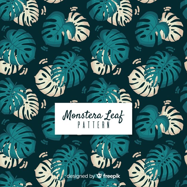 Monstera leaves background