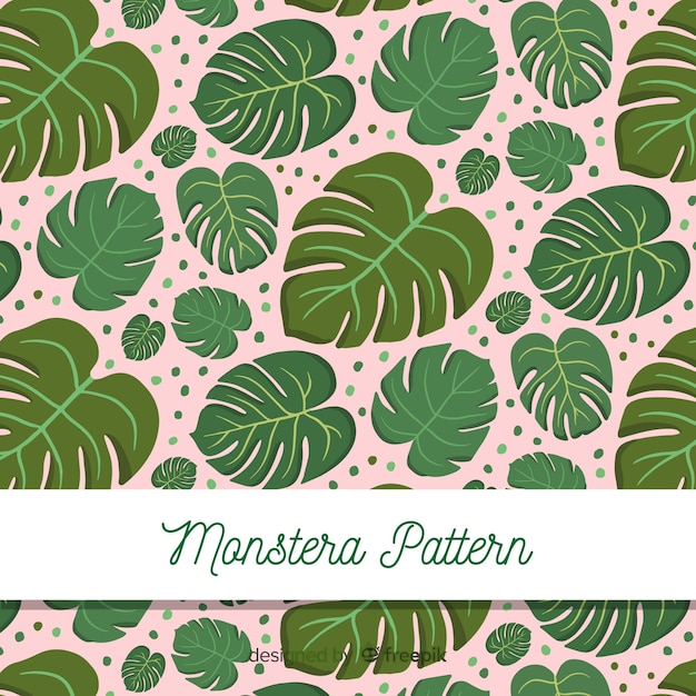 Monstera leaves and dots background