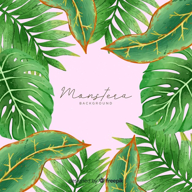 Monstera leaves frame background