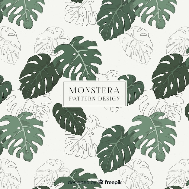 Monstera leaves pattern