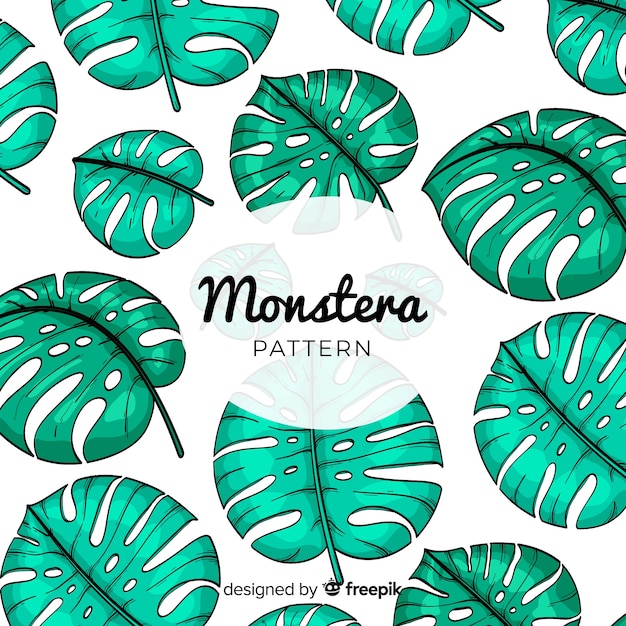 Free Vector monstera leaves