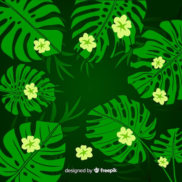 Monstera leaves