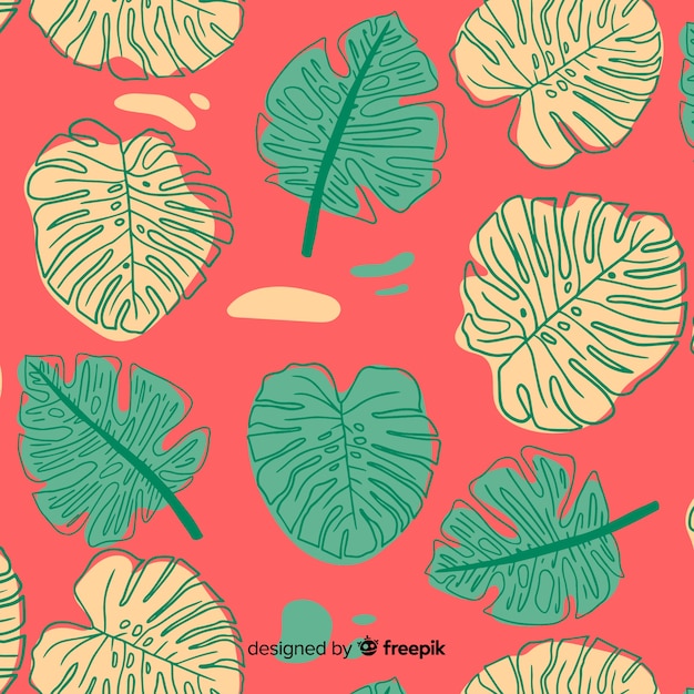 Free Vector monstera leaves