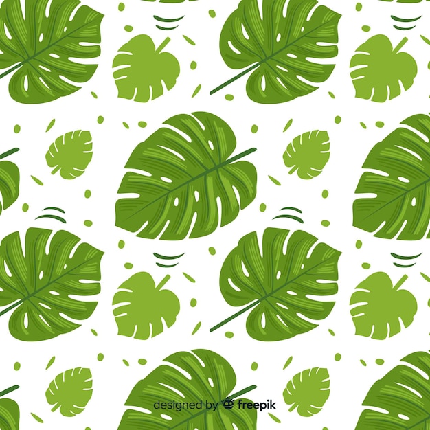 Monstera pattern