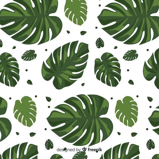 Free Vector monstera pattern