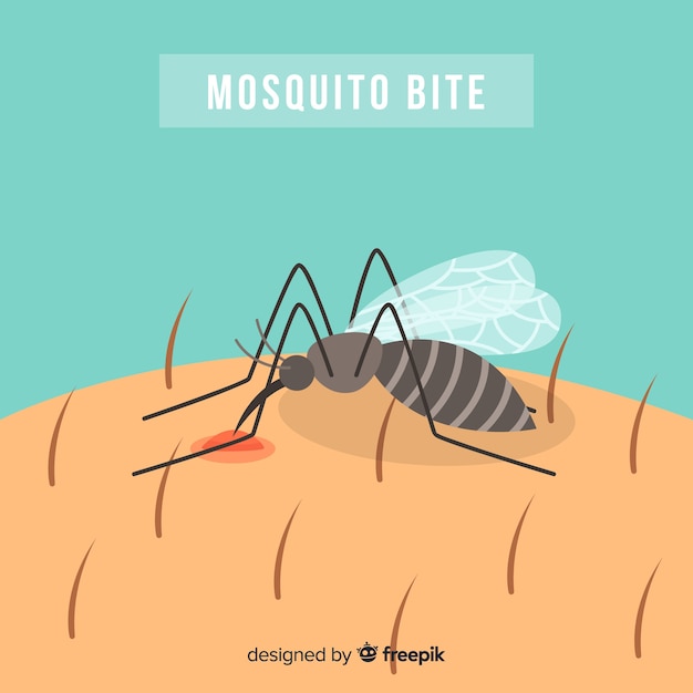 Free Vector mosquito biting a person with flat design