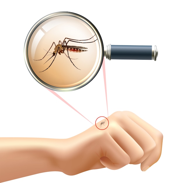 Free Vector mosquito on hand