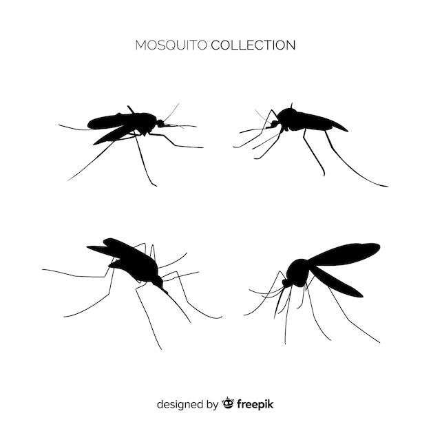 Free Vector mosquito silhouette collection