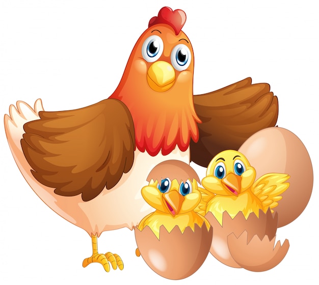 Free Vector mother hen and two chicks