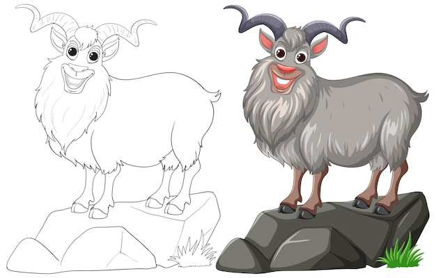 Free Vector mountain goat illustration and coloring page