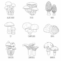 Free vector mushrooms flat set of isolated icons with text captions and outline monochrome images of various shrooms vector illustration