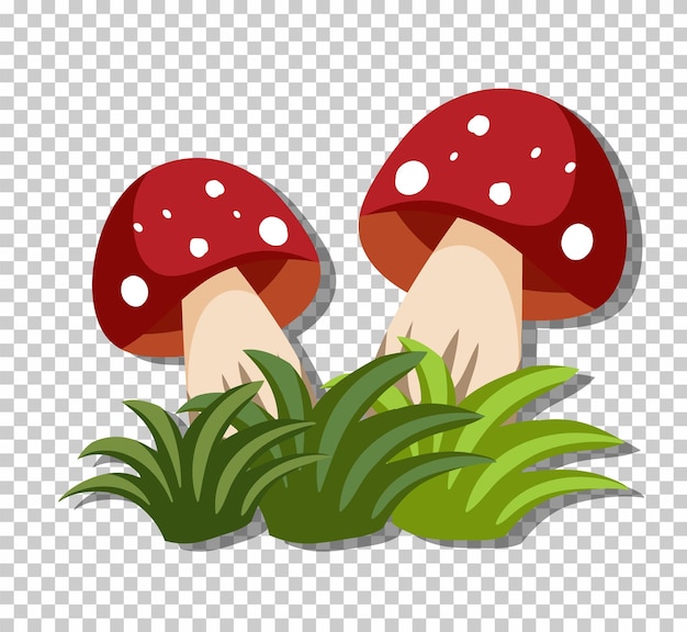 Free vector mushrooms in grass isolated