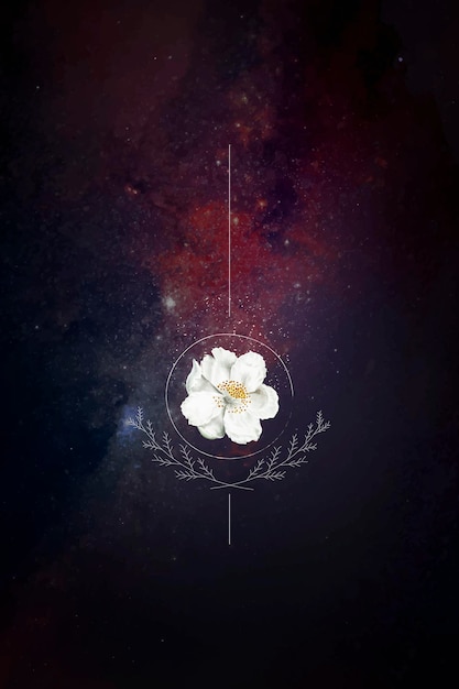 Free vector musk rose on a galaxy background