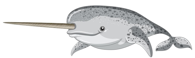 Free Vector narwhal on white background