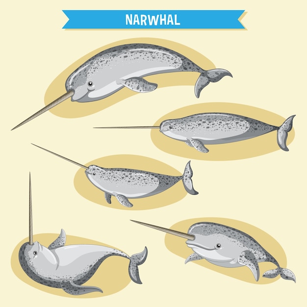 Free Vector narwhale cartoon character in different poses