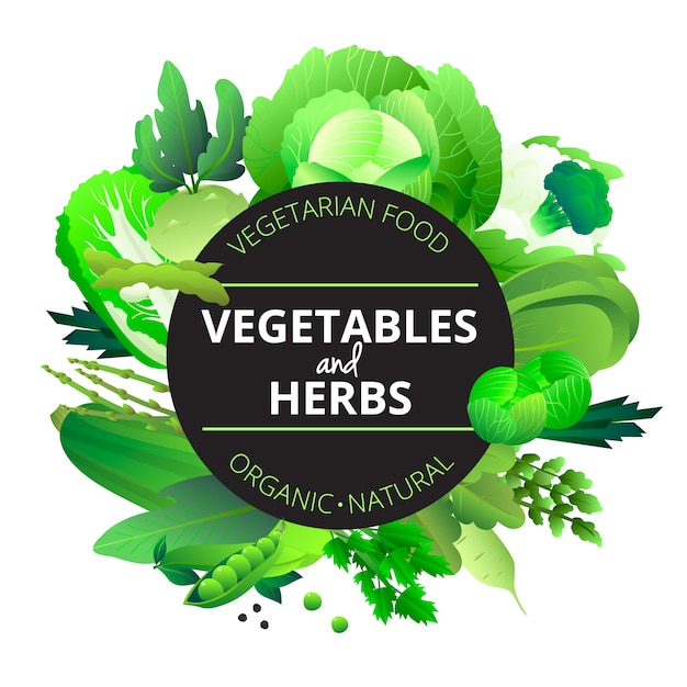 Free Vector natural organic vegetables and herbs rounded with cabbage courgette celery and pea green abstract vector illustration  