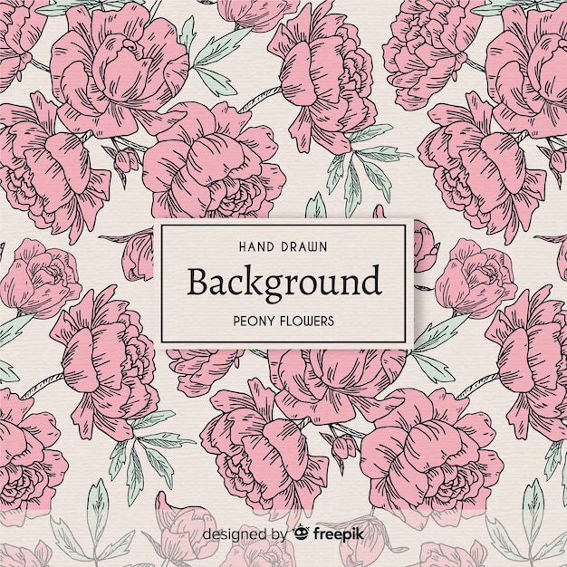 Nature background with beautiful peony flowers