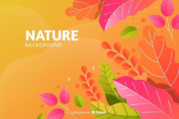 Free Vector nature background