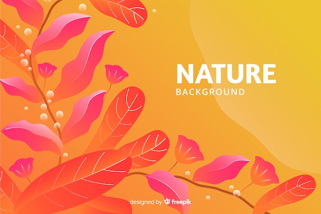 Nature Background