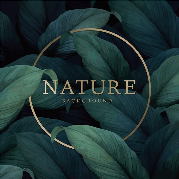 Free Vector nature background 