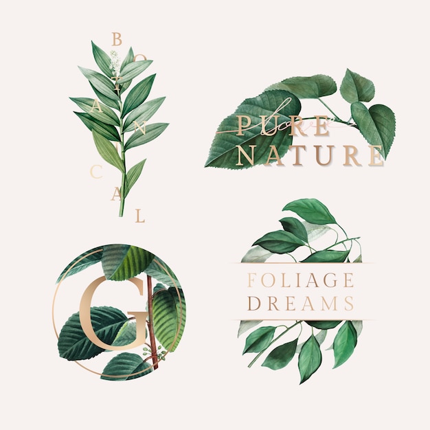 Nature foliage wallpaper