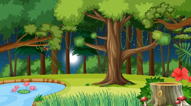 Free Vector nature forest at night scene with many trees