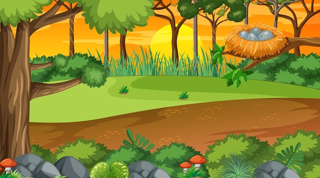 Free Vector nature forest at sunset time scene