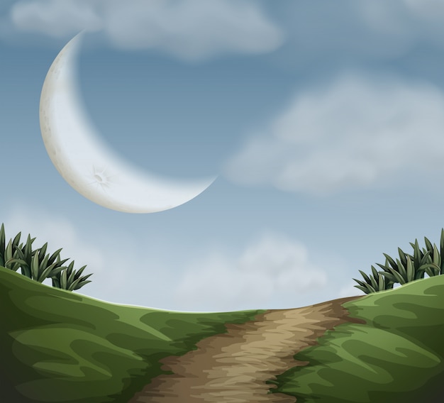 Free vector a nature night scene