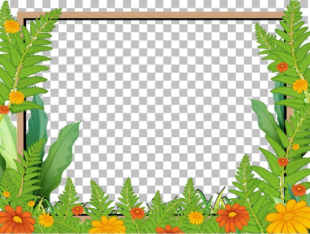 Nature plants frame transparent background