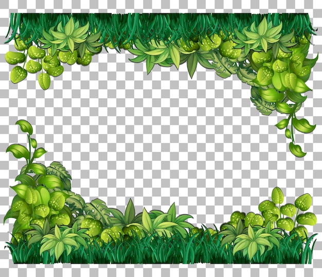 Nature plants frame transparent background