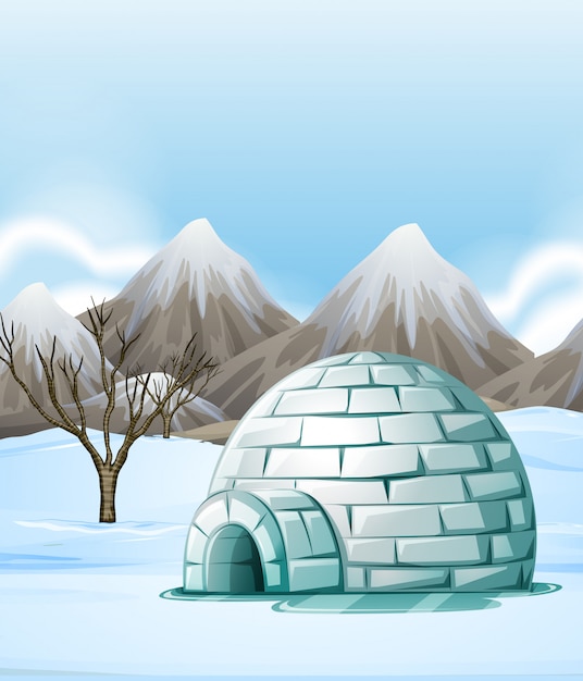 Nature scene with igloo on the ground