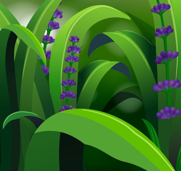 Free Vector nature scene with lavender and grass