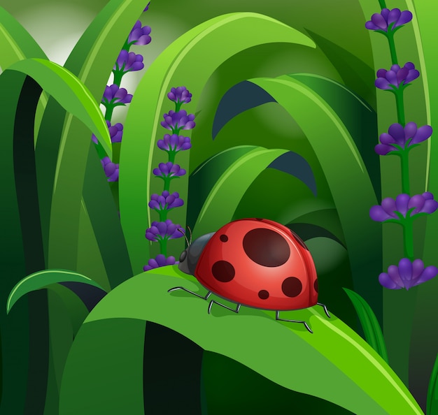 Free Vector nature scene with red ladybug on leaf