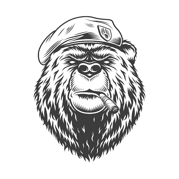 Free vector navy seal bear head in beret