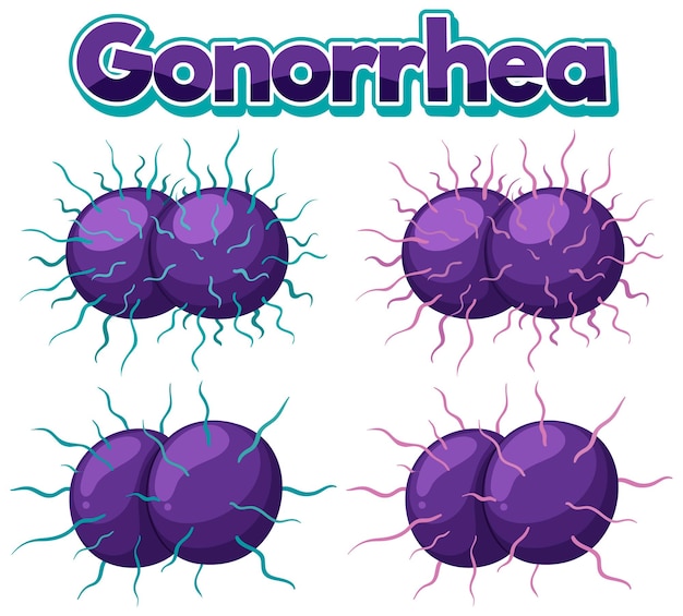 Free Vector neisseria gonorrhoeae on white background