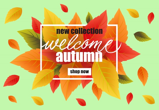 New collection welcome autumn lettering with colorful leaves.