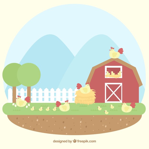 Nice background of barn with chickens